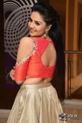 Sree Mukhi at Gentleman Movie Success Meet